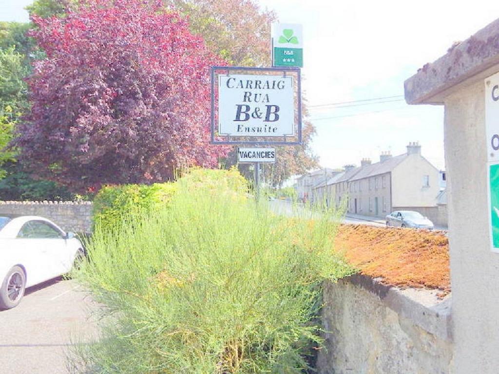 Carraig Rua Panzió Kilkenny Kültér fotó